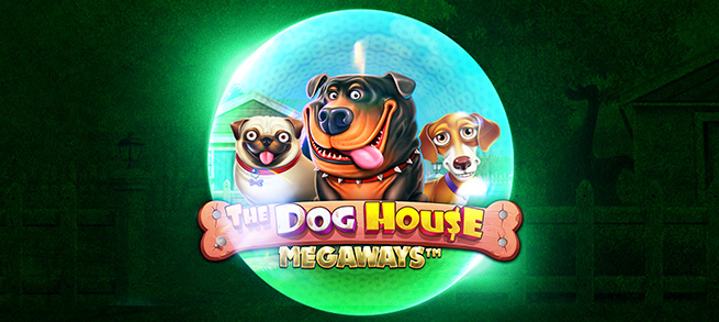 ATL DG FS DOG HOUSE Woof