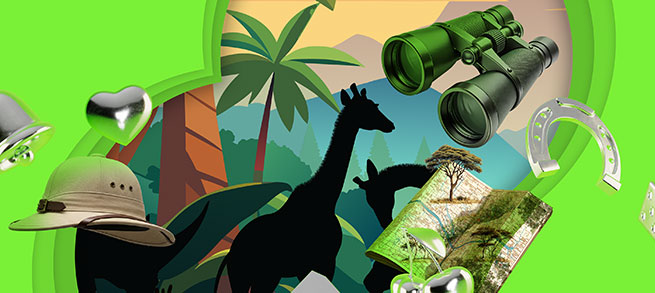 Safari